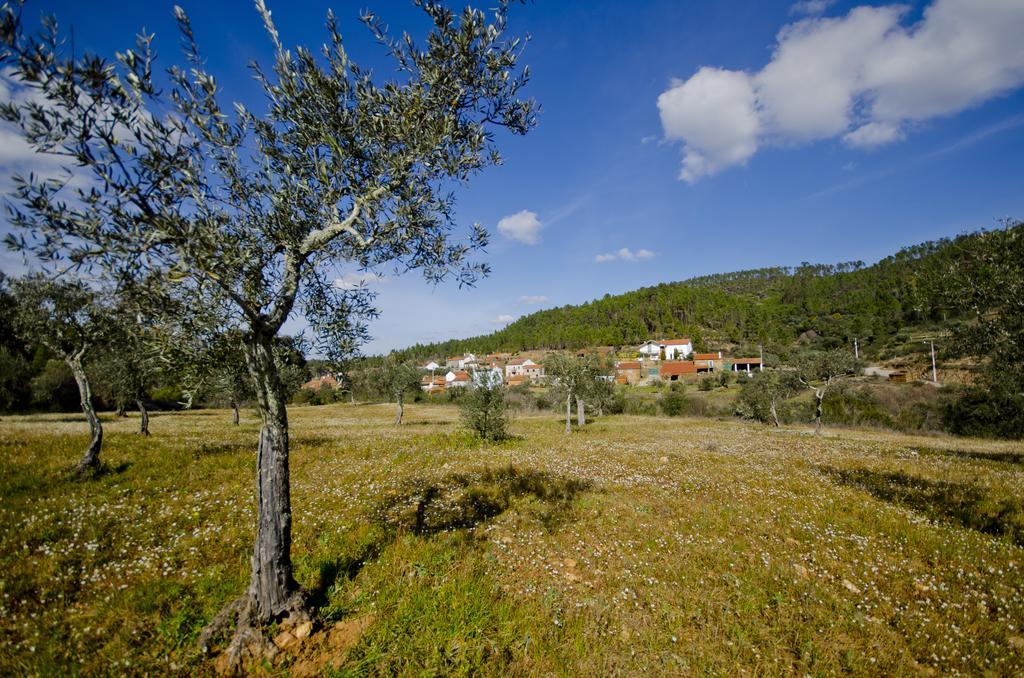 Xisto Sentido Villa Martim Branco Ngoại thất bức ảnh